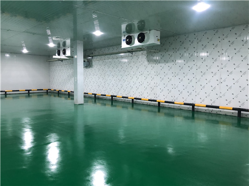 万搏(中国)蔬菜保鲜库 万搏(中国)蔬菜保鲜库